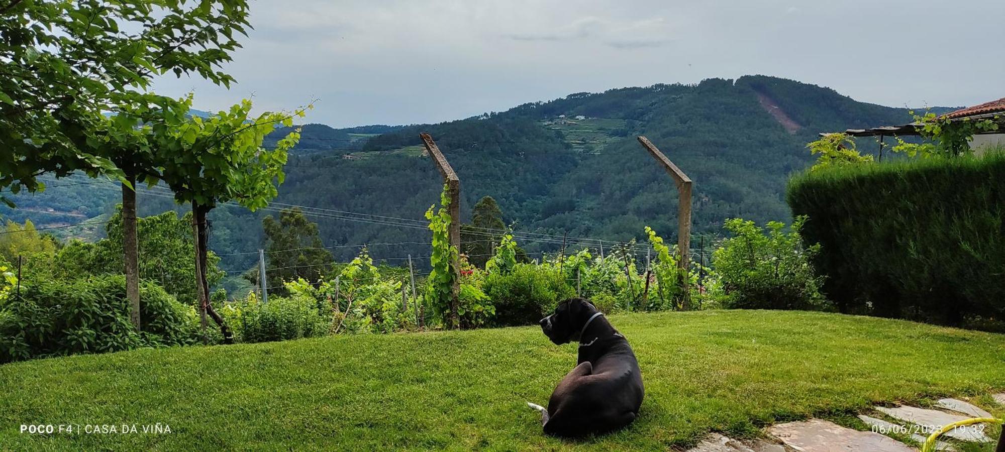 Villa Casa Da Vina - Ribeira Sacra Nogueira De Ramuin Exterior foto