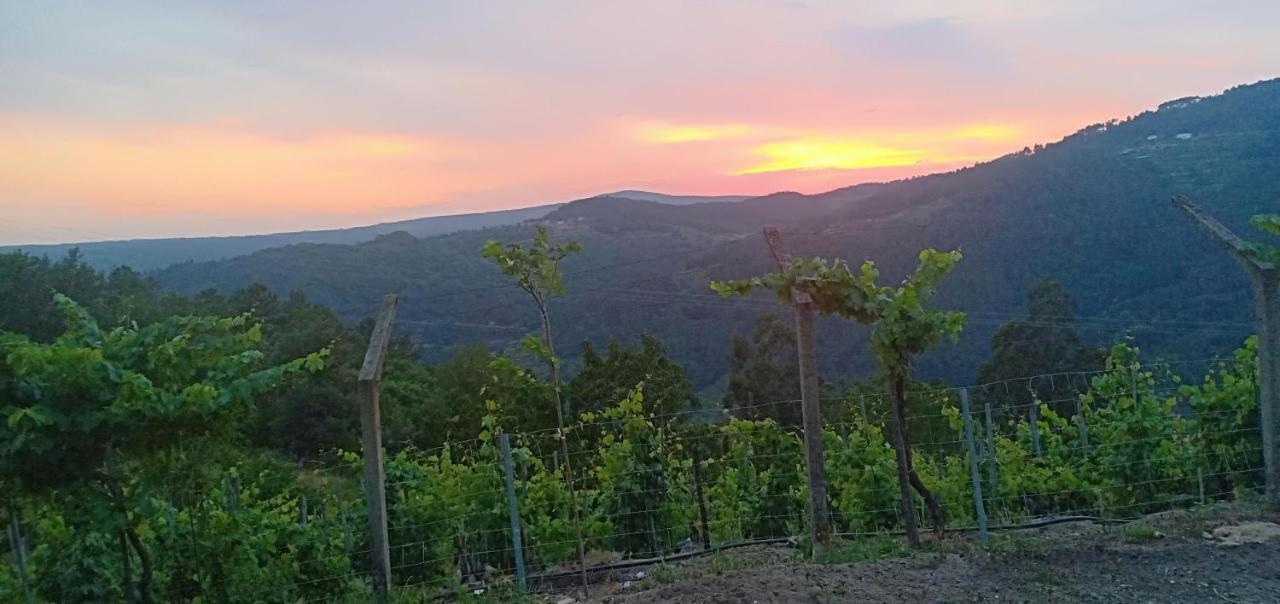 Villa Casa Da Vina - Ribeira Sacra Nogueira De Ramuin Exterior foto